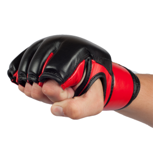 Mixed martial arts PNG, MMA PNG
