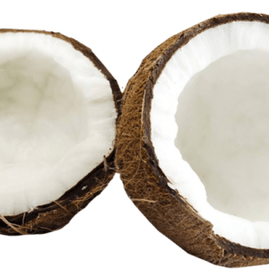 Coconut PNG image