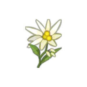 Edelweiss PNG