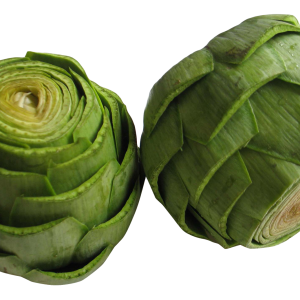 Artichoke PNG