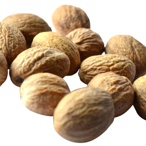 Walnut PNG