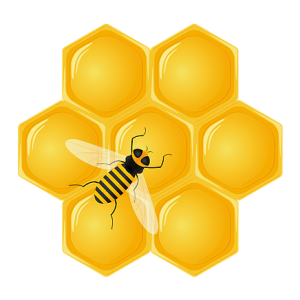 Honey PNG