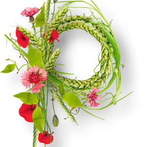 Floral frame PNG