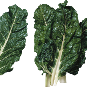 Salad PNG image