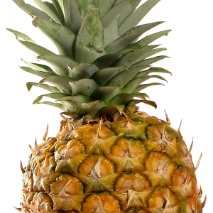 Pineapple PNG image, free download