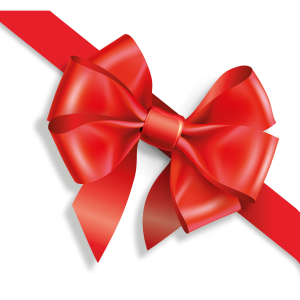 Bow PNG image
