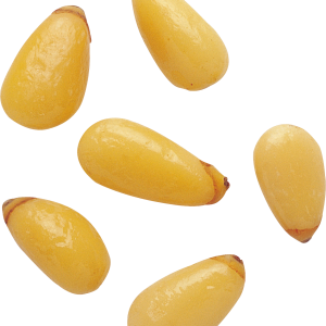 Pine nuts PNG