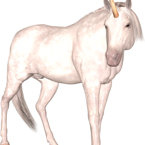 Unicorn PNG