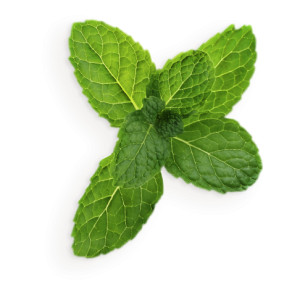 Pepermint PNG