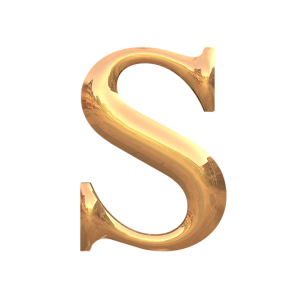 Letter S PNG