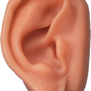 Ear PNG