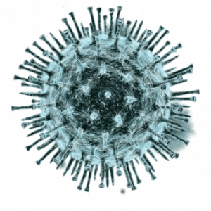Virus PNG