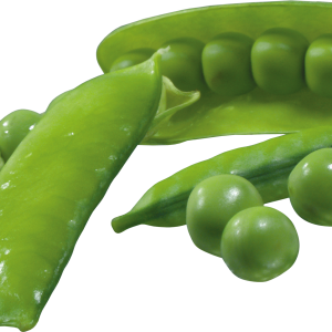 Pea PNG