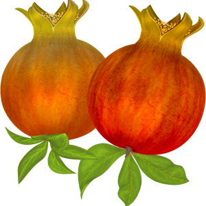 Pomegranate PNG