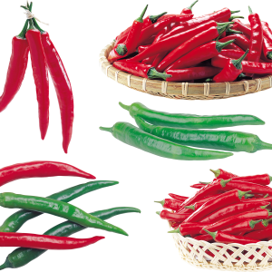 Chili pepper PNG