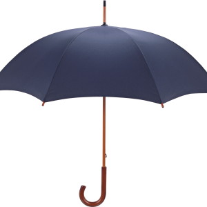 Umbrella PNG