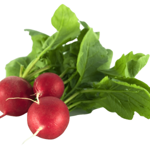 Radish PNG