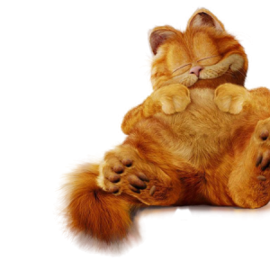Garfield PNG