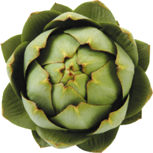 Artichoke PNG