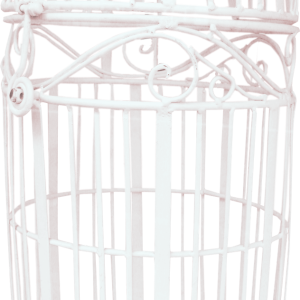 Cage bird PNG