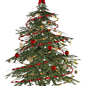 Christmas tree PNG