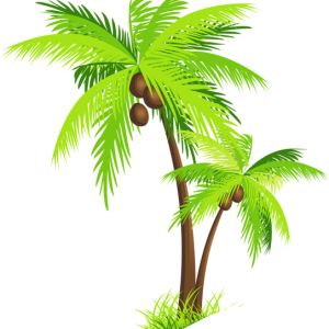 Palm tree PNG
