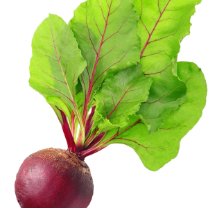 Beet PNG