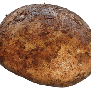 Potato png images, pictures, free download