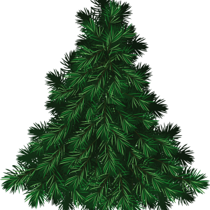 green Fir-tree PNG image
