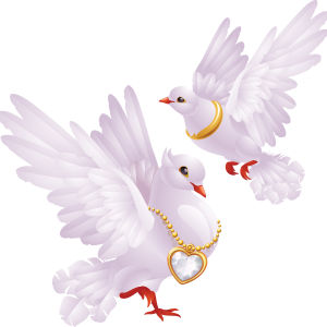 White pigeons PNG image