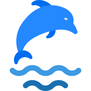 Dolphin PNG