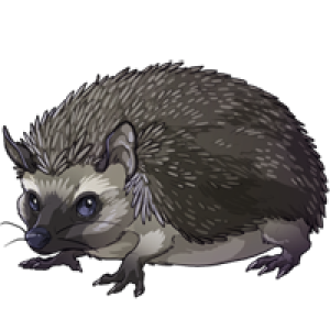Hedgehog PNG