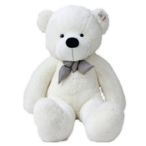 Teddy bear PNG