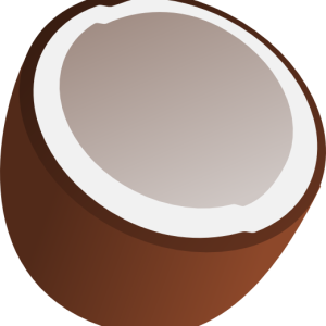 Coconut PNG image