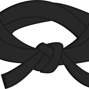 Karate PNG