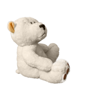 Teddy bear PNG