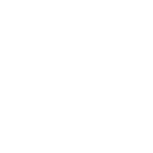 UFC logo PNG