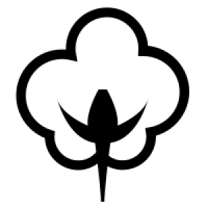 Cotton PNG