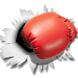 boxing gloves PNG