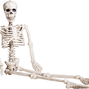 Skeleton PNG