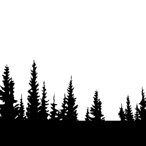 Forest PNG
