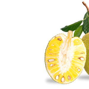 Jackfruit PNG