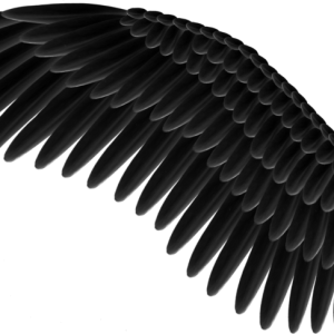 Wings PNG