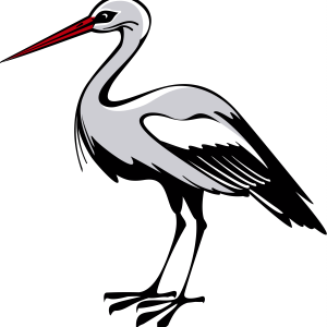 Stork PNG
