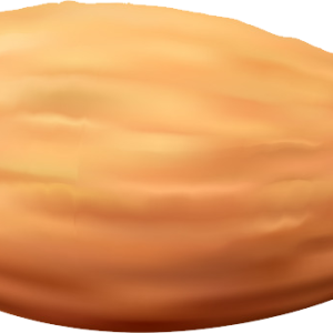 Almond PNG image