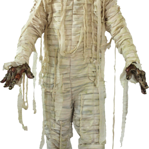 Mummy PNG