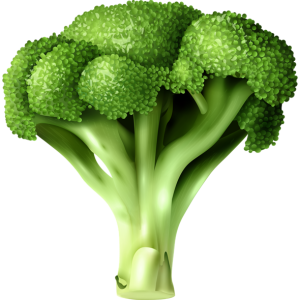 Broccoli PNG