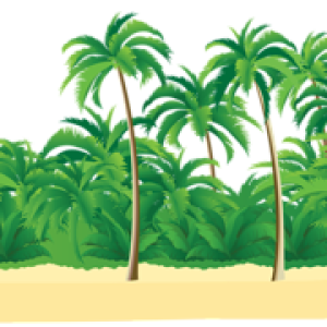Beach PNG