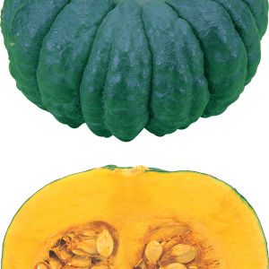 Pumpkin PNG
