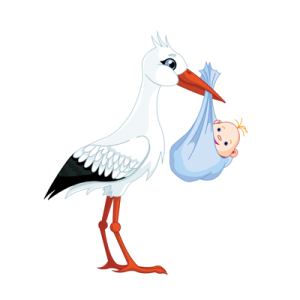 stork baby PNG